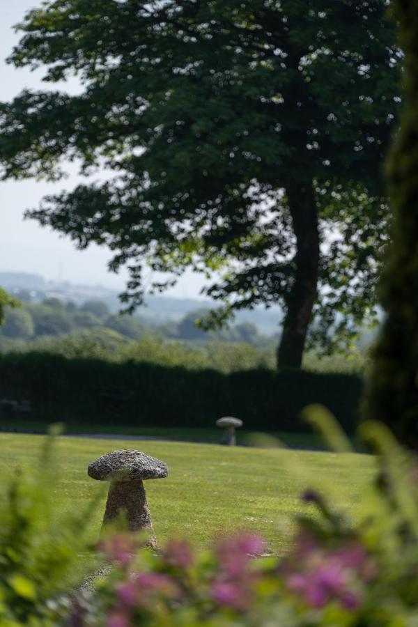 The Lambing Shed, Cornwall Altarnun Esterno foto